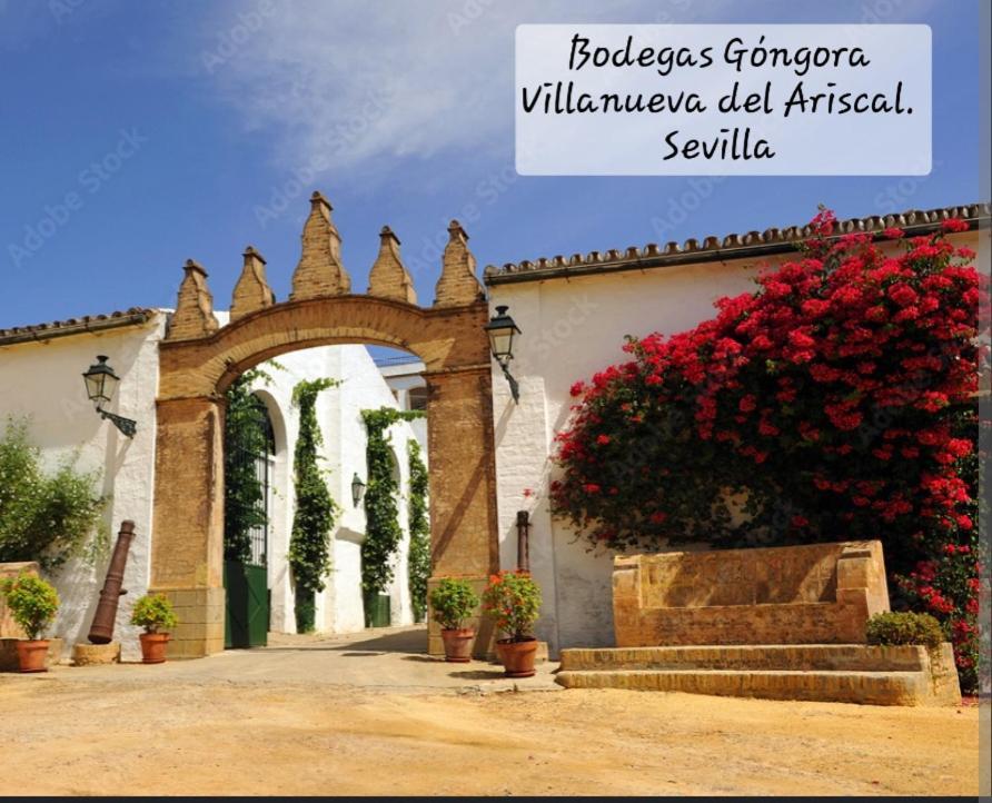 Casa Serena * Villanueva del Ariscal